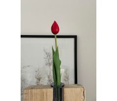 Bordový tulipán Premium 40cm