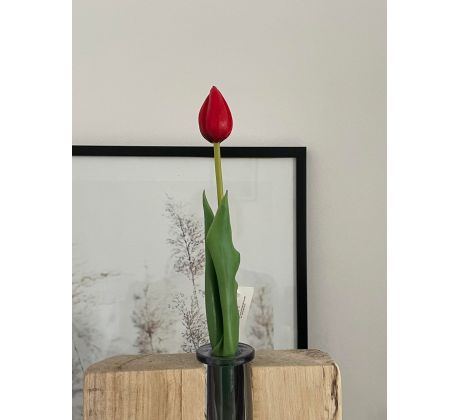 Bordový tulipán Premium 40cm