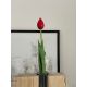 Bordový tulipán Premium 40cm