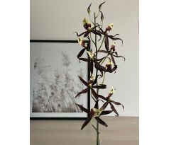Umelá orchidea 03945 hnedo bordová 108cm