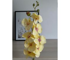 Orchidea VIP2035/10 100cm žltá