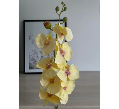 Orchidea VIP2035/10 100cm žltá