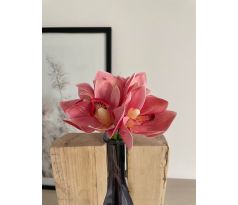 Zväzok Orchidea 03933 rúžová