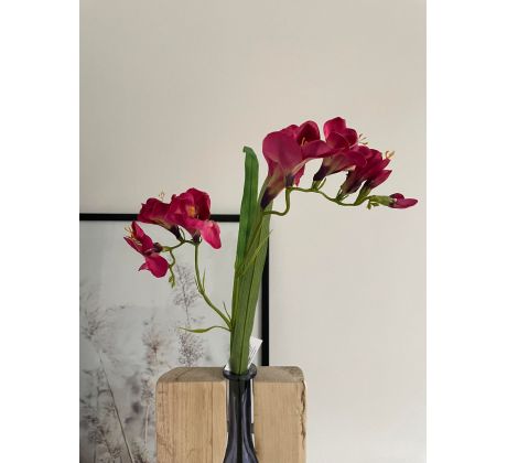 Frézia 03928 55cm bordová