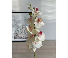 Orchidea VIP2035/17 100cm krémovo-rúžová