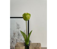 Tulipán gumový K04038 zelený 44cm