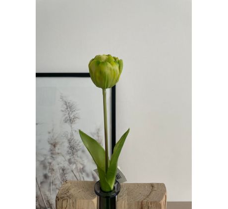 Tulipán gumový K04038 zelený 44cm