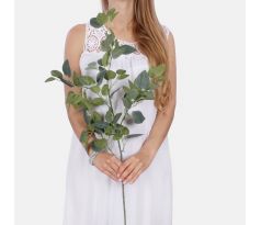 Umelá vetvička Fitonia 126 100cm