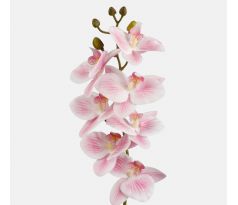 Orchidea 403 72cm ružová