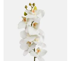 Orchidea 403 72cm biela