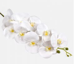 Biela umelá Orchidea 495 100cm