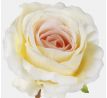 Umelá hlávka ruže 697-02 12cm žlto ružová