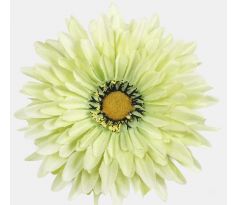 Umela hlávka Gerbera 539-06 15cm zelena