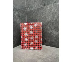 Vianočná darčeková taška 22T116-4 30x26cm