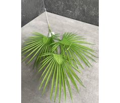 Palmová vetvička 22KW926 70cm