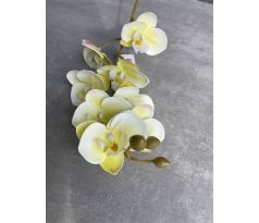 Vetvička orchidea 638L-02 žlto-zelená 75cm