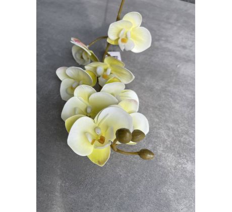 Vetvička orchidea 638L-02 žlto-zelená 75cm