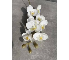 Vetvička orchidea 638L-02 bielo-žltá 75cm