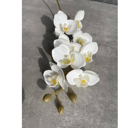 Vetvička orchidea 638L-02 bielo-žltá 75cm