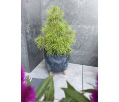 Kvetináč GRACIA TUBUS BETON EFFECT DGTL300LE 29,8 cm antracit