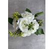 Ruže v kvetináči 21cm biele