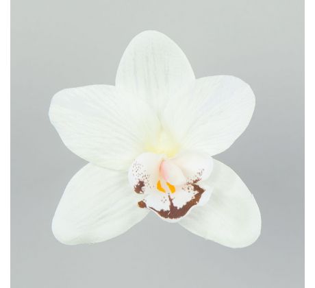 Hlávka Orchidea 165.16 12cm biela