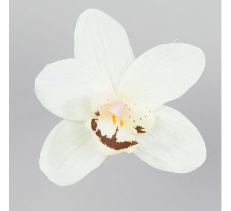 Hlávka Orchidea 165.09 12cm krém