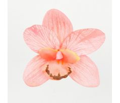 Hlávka Orchidea 165.21 12cm ružová