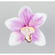 Hlávka Orchidea 165.15 12cm bielo-fialová