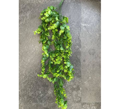 Zvis zeleny 116 68cm