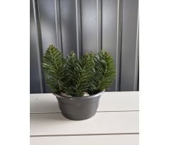 Čečinový základ 1 výška 22cm/Ø17cm