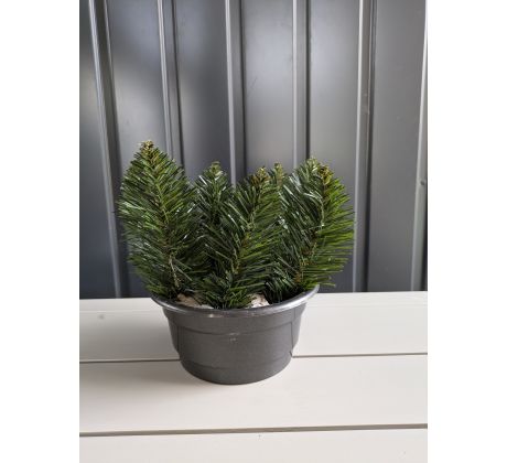 Čečinový základ 1 výška 22cm/Ø17cm