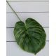 List MONSTERA 54x20cm 006BB