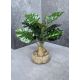 Monstera v keramickom kvetináči 168 33cm