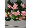 Umelá kytička Pelargonia 103F 35cm ružová