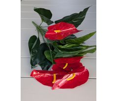 Kytica ANTURIUM 51cm červena