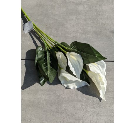 Penová kytica Kala, 121B výška 61 cm, KRÉM