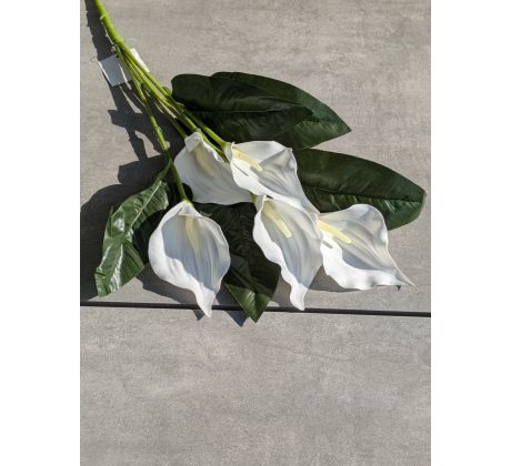 Penová kytica Kala, 121A výška 61 cm, BIELA