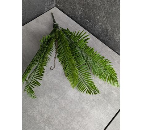 Kytica Palma 107 54cm