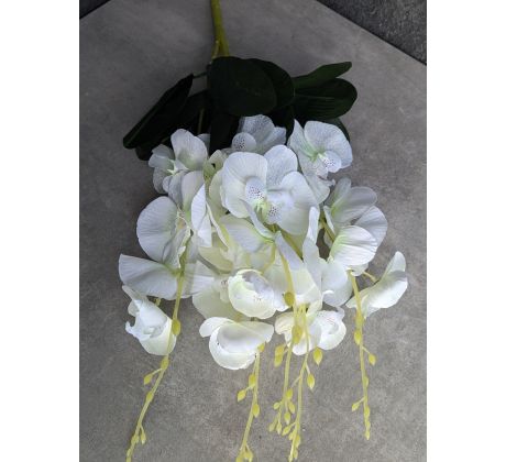 Kytica Orchidea 213A 57cm bielo-krémová