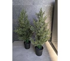 Ihličnan v kvetináči 135 45cm