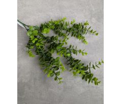 Vetvička Eukalyptus 196C 65cm