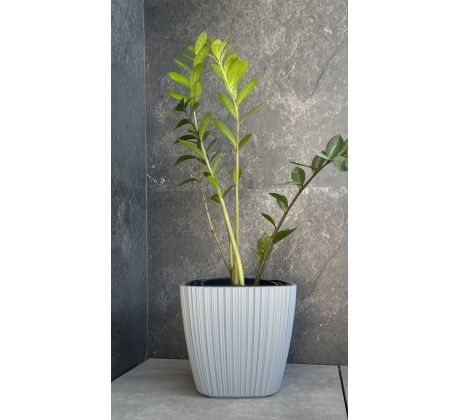 Kvetináče ORO DBOS300 29cm svetlo šedá