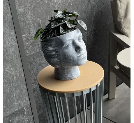 Plastová doska STANDY prírodné drevo 29,8cm