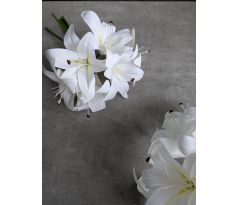 Kytička/zväzok ľalia 343A 32cm X6 biela