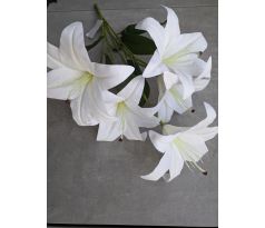 Stonka Ľalia 60cm /5 kvetov/ biela