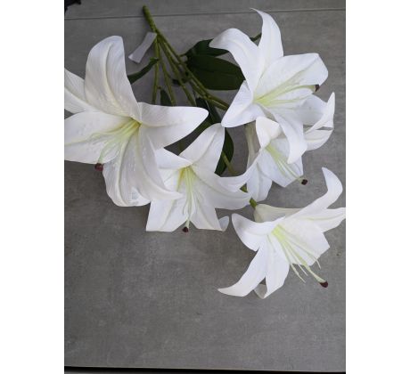 Stonka Ľalia 60cm /5 kvetov/ biela