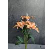 Stonka Ľalia 60cm /5 kvetov/ oranžová