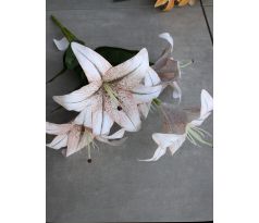 Stonka Ľalia 60cm /5 kvetov/ bielo-hnedá