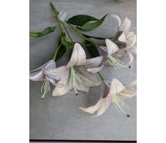 Stonka Ľalia 60cm /5 kvetov/ fialová